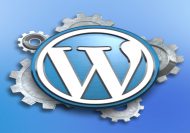 Neeraj Sullhan | CEO | Rhombus Infotech